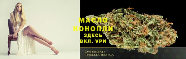 хмурый Дмитровск
