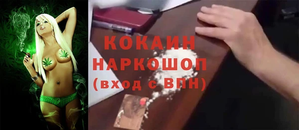 хмурый Дмитровск