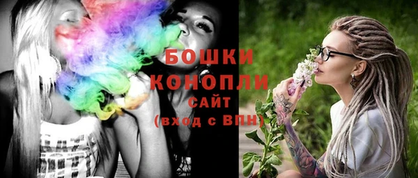 хмурый Дмитровск