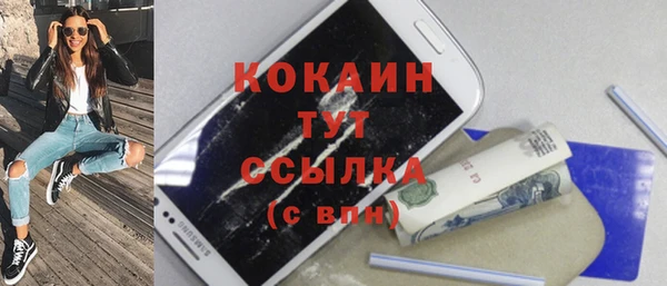 хмурый Дмитровск