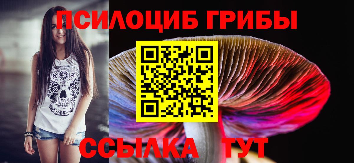 Псилоцибиновые грибы Psilocybe Маркс